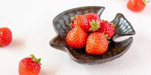 Mino Ware Bird Plate Matt Brown