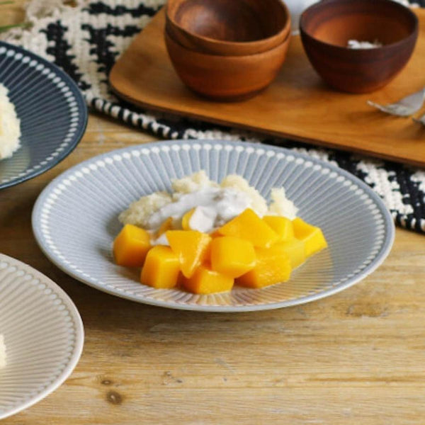 みのる陶器 Albee アルビー 220プレート 大皿 22cm 美濃焼 日本製 食器 選べる3色（ネイビー・ベージュ・グレー）