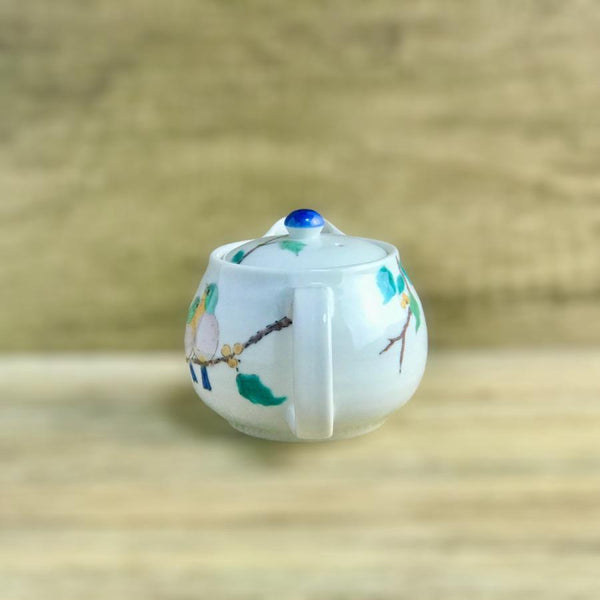 Kutani Ware Mejiro Japanese Teapot 350ml (11.8 US fl oz) – Japanese White-Eye Bird Design, Tea Strainer Included, Made in Japan