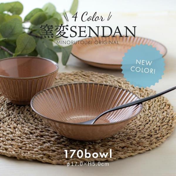 みのる陶器 美濃焼 ボール カフェボール 十草 おしゃれ 食器