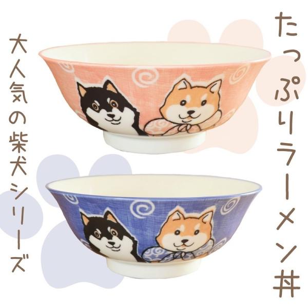 柴犬 丼ぶり ラーメンボウル 大 丼 おしゃれ ピンク ブルー