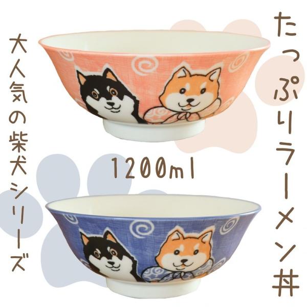 柴犬 丼ぶり ラーメンボウル 大 丼 おしゃれ ピンク ブルー