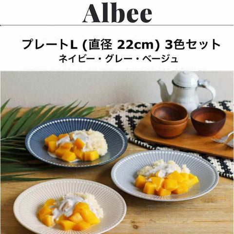 albee 食器 アルビー 皿 22cm 大皿 3色セット パスタ皿 おしゃれ 日本製 美濃焼